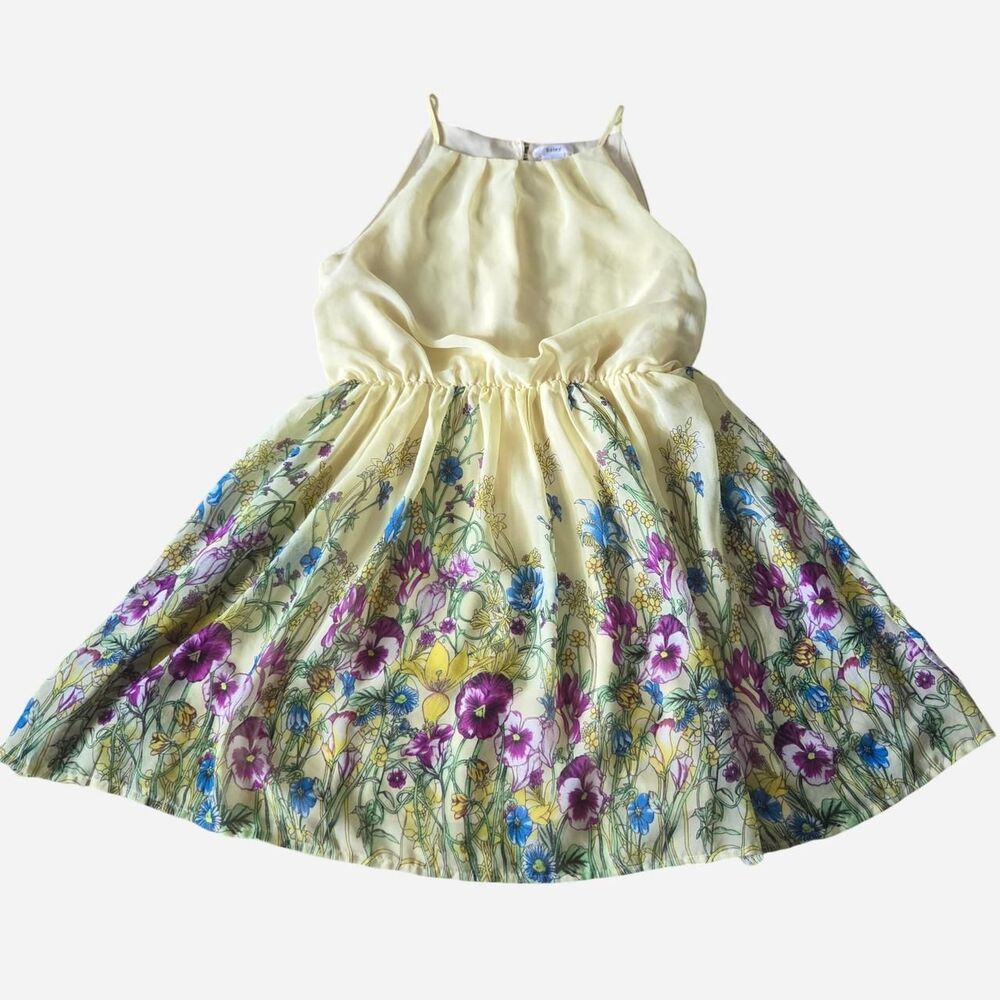 Esley Pansy print chiffon dress